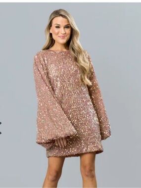 Buddy Love Bronze Sequin Mini Dress